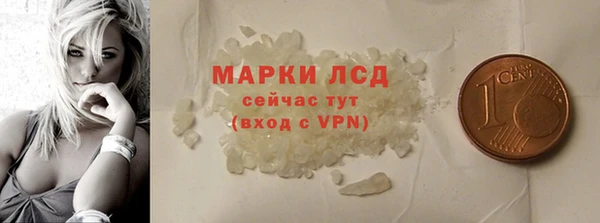 ECSTASY Богданович