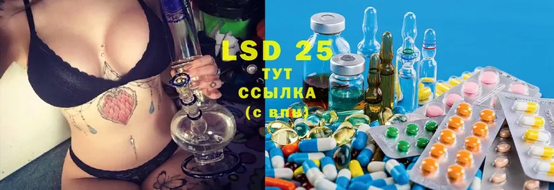 KRAKEN ТОР  Шагонар  Лсд 25 экстази ecstasy 