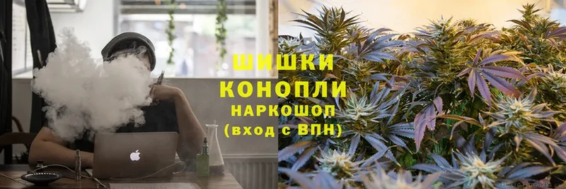 купить наркоту  Шагонар  блэк спрут ссылки  Бошки марихуана THC 21% 